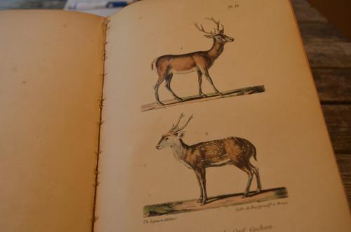 Oeuvres complet de Buffon 1833 fraai!!