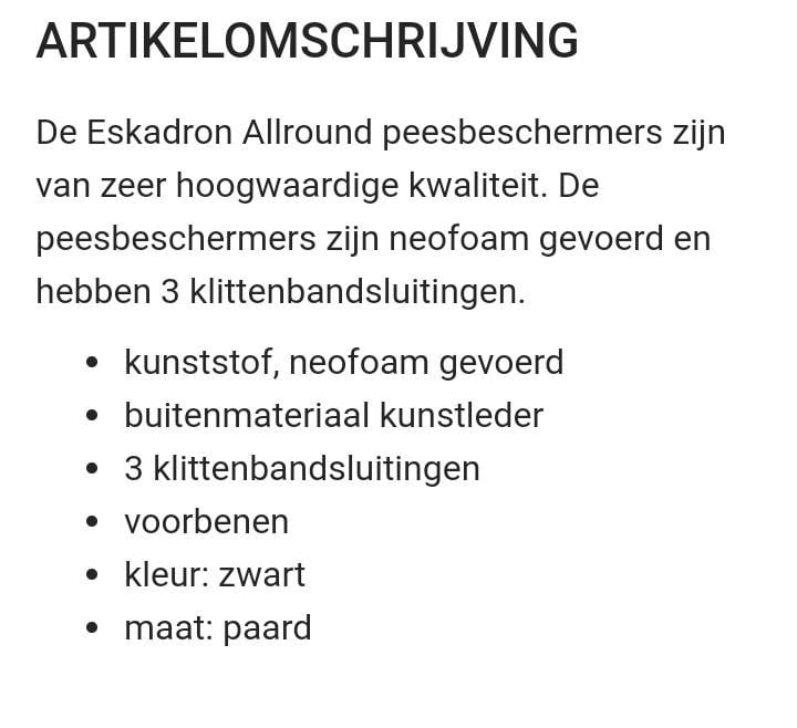 Eskadron beschermers