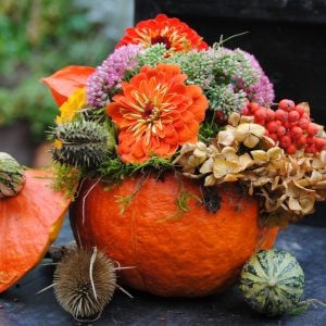 Gezellige **Herfstworkshops** te boeken met eigen groep vanaf 6p