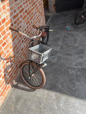 Loekie pick-up 20 inch