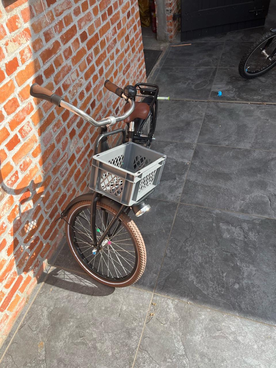 Loekie pick-up 20 inch