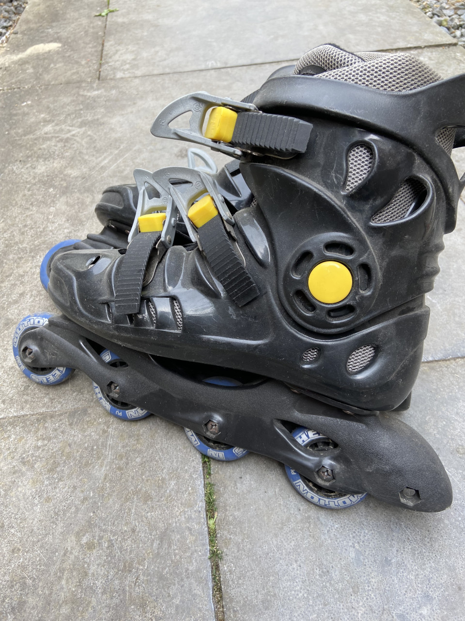 Skeelers