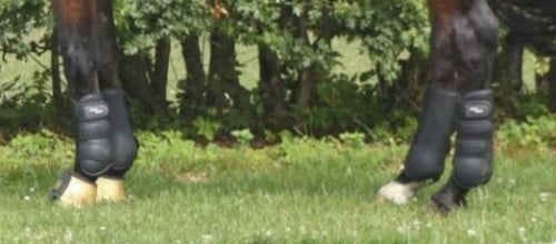 Eskadron beschermers