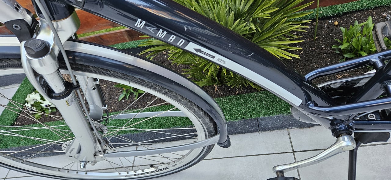 Batavus herenfiets Limited Edition
