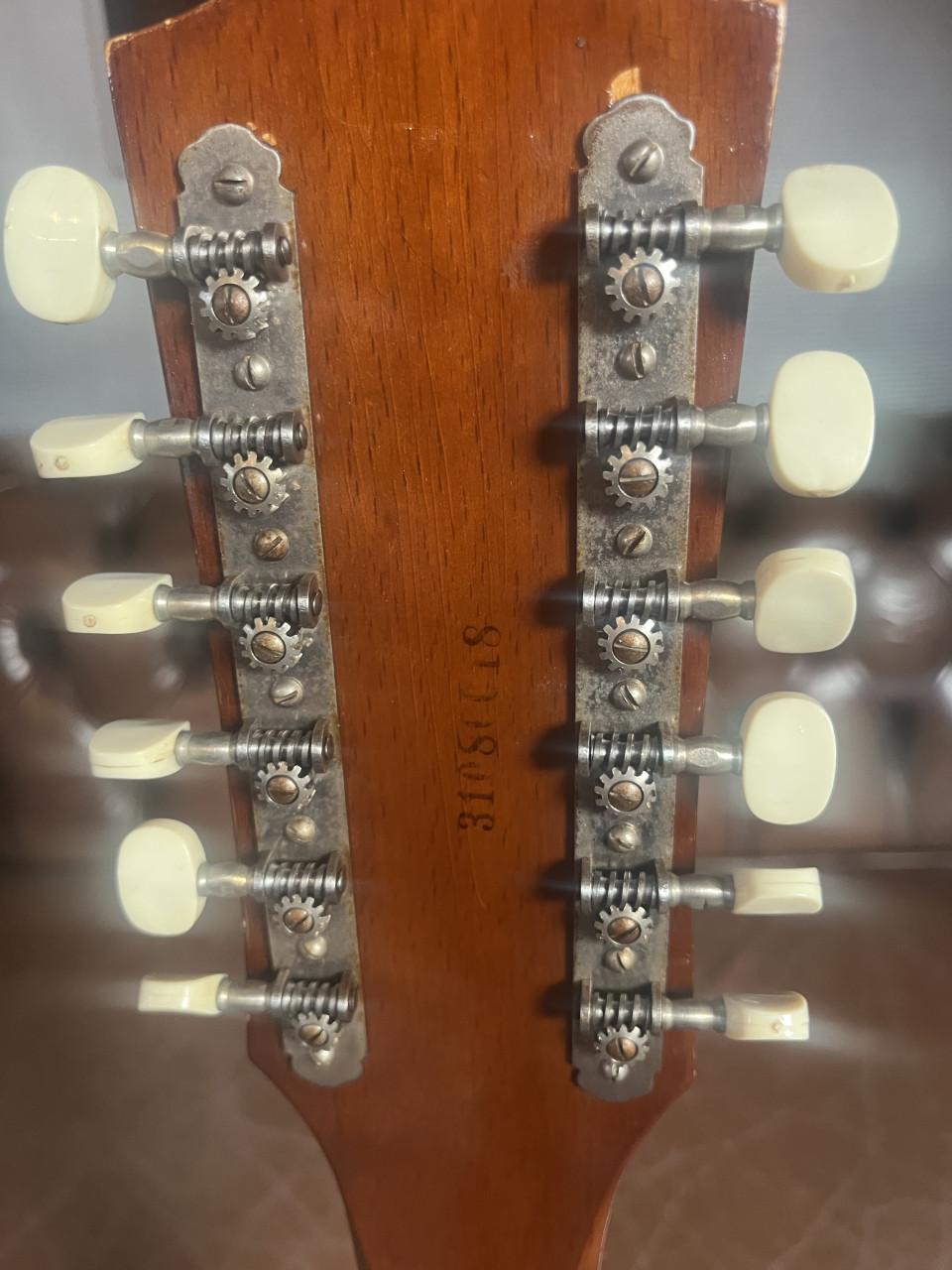 Egmond 12-String – Made in Holland – (Serienr. 31080018)