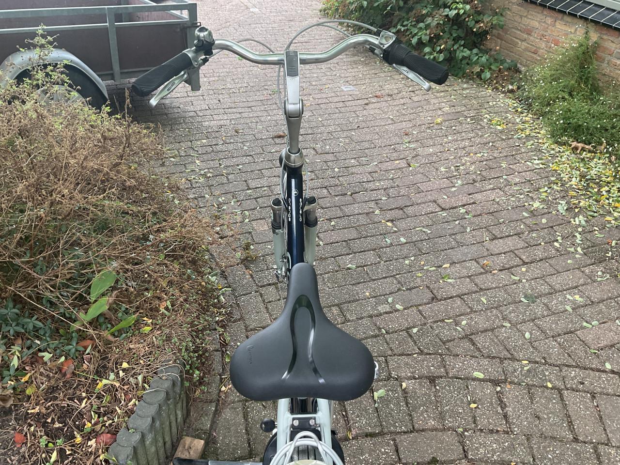 Mooie Gazelle