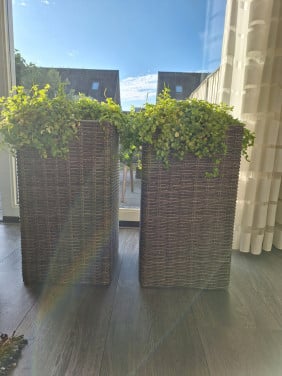2 hoge plantenbakken van riet