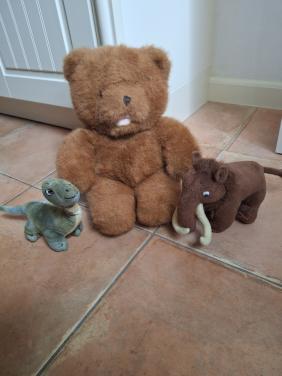 3 knuffels gratis !