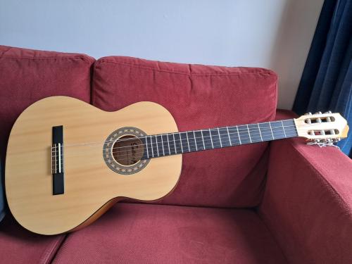 Gitaar (gebroken snaar)