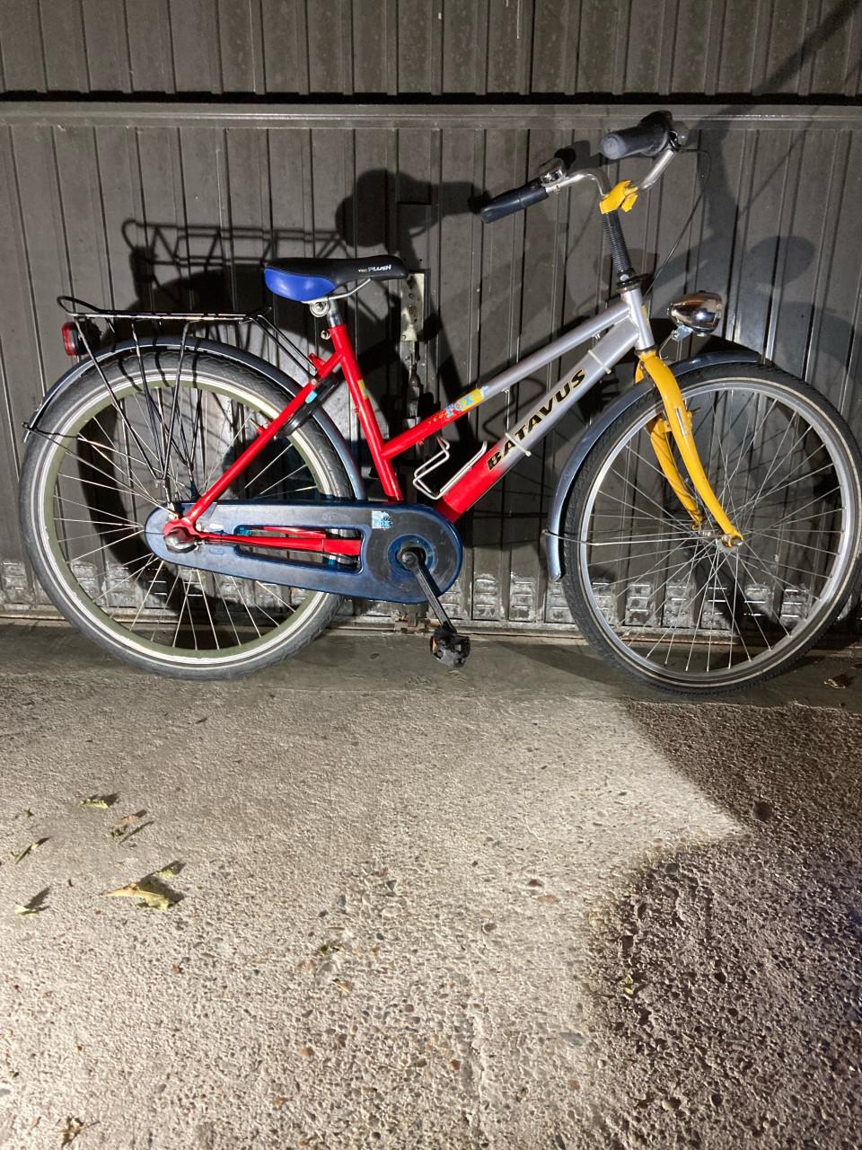 Meisjesfiets Batavus fox 24 inch 3 v.