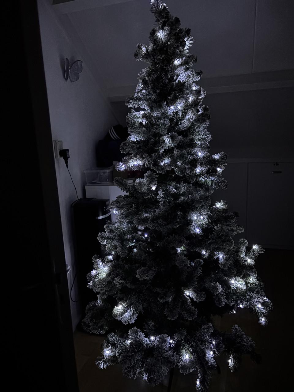 Kerstboom