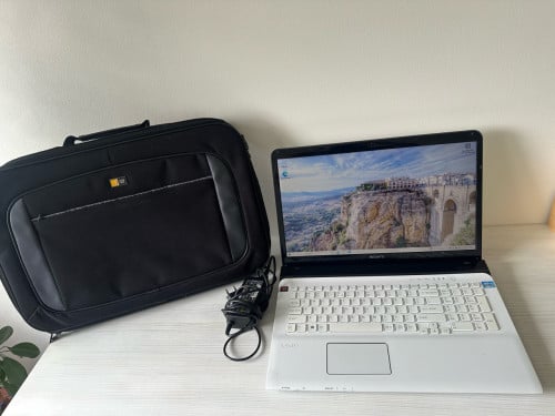 Sony Vario  17inch