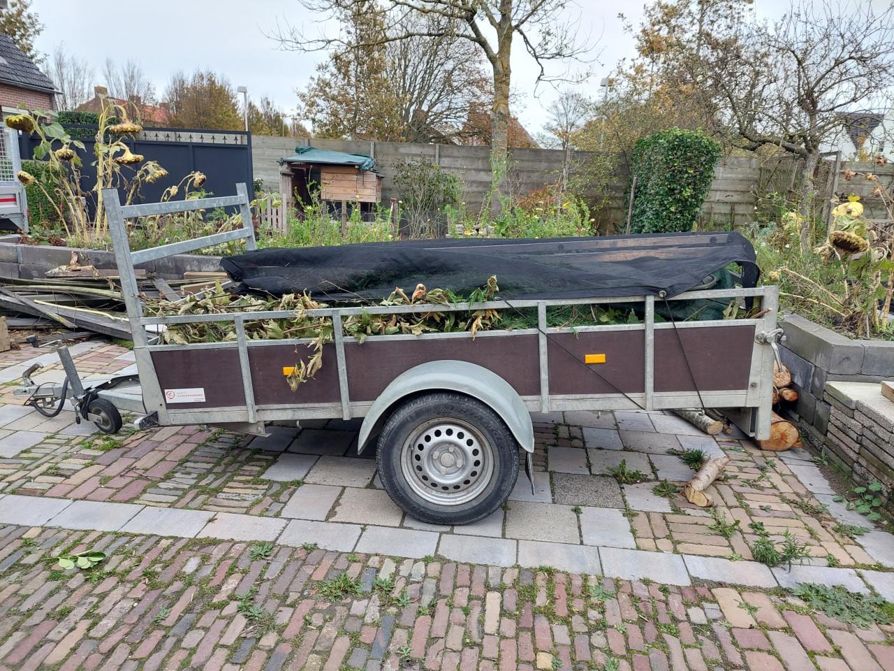 Aanhanger, loady enkelas