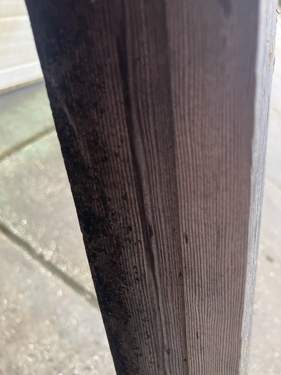 Red cedar balken