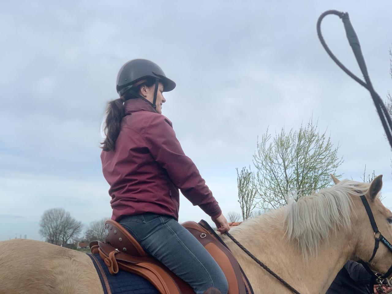 6-jarige Palomino PRE merrie