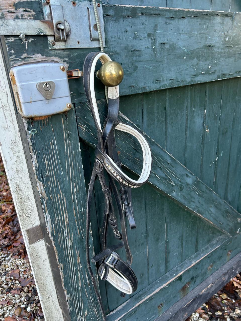 Halsters en stijgbeugels