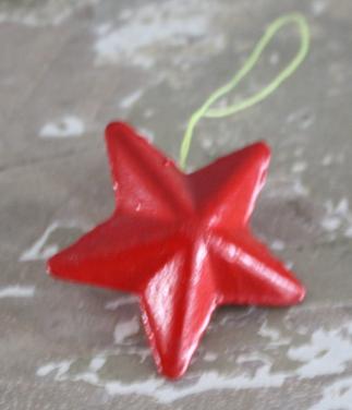 Rood stenen kerststerretje