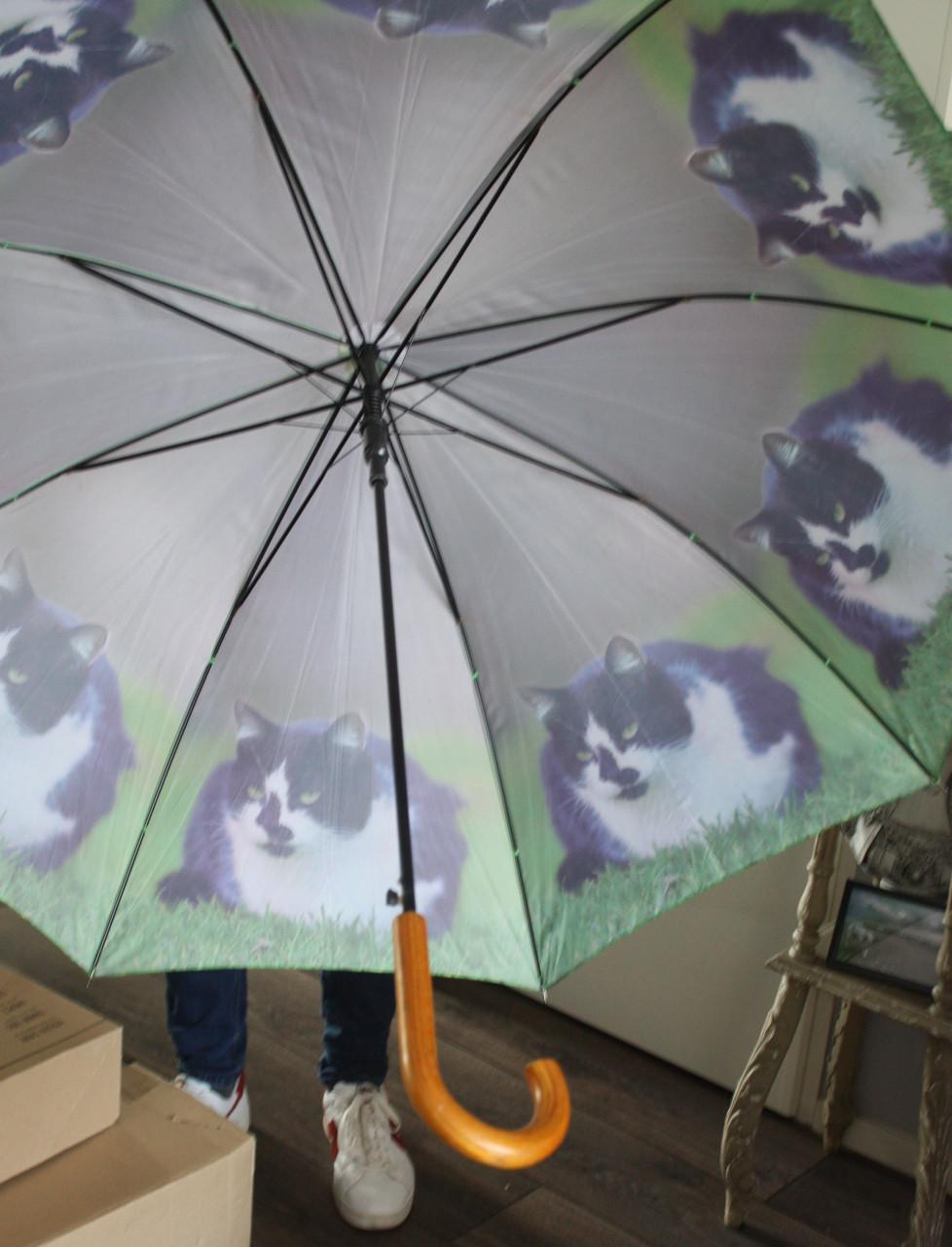 Paraplu met katten print