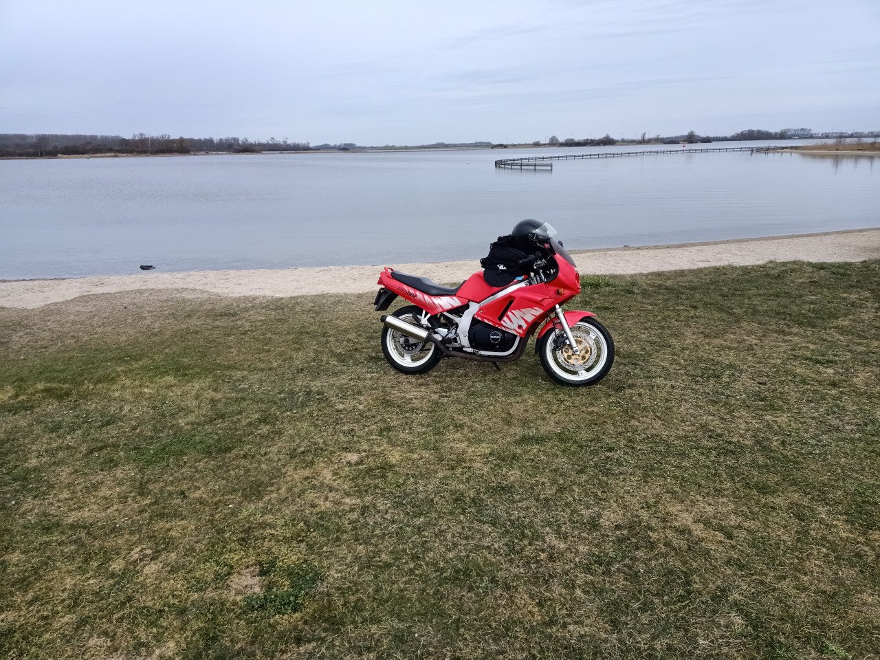 Suzuki gs500e slingshot