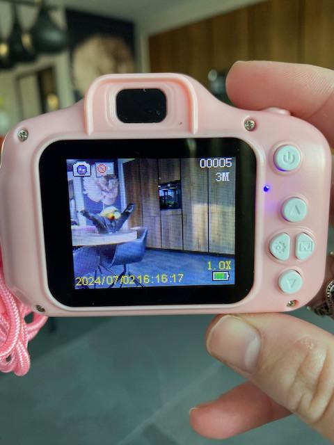 Roze mini camera