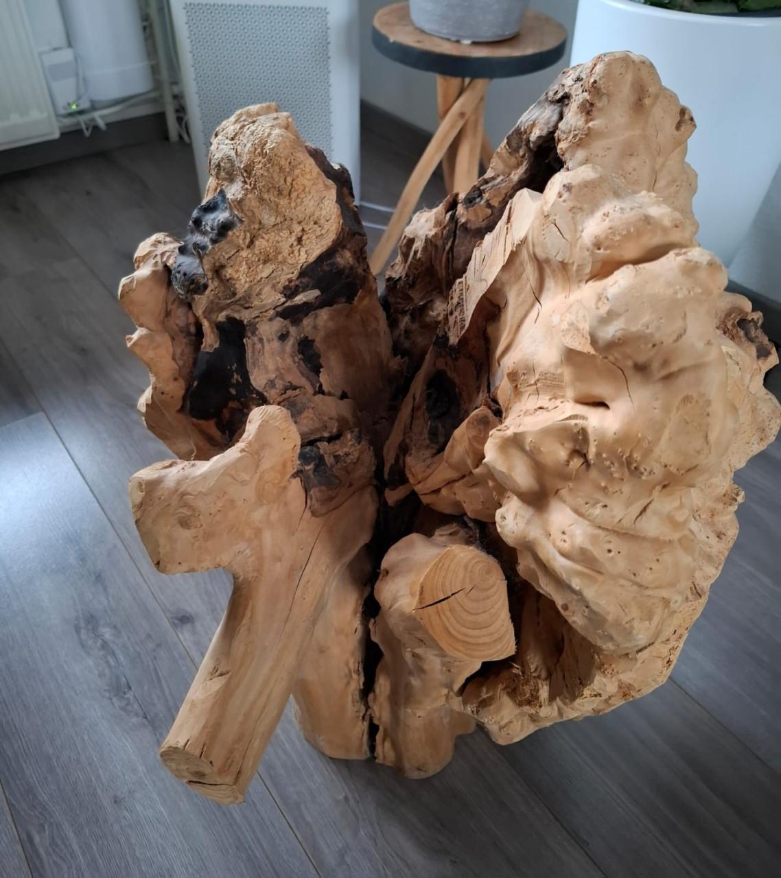 Decoratie: Massieve olijfstronk