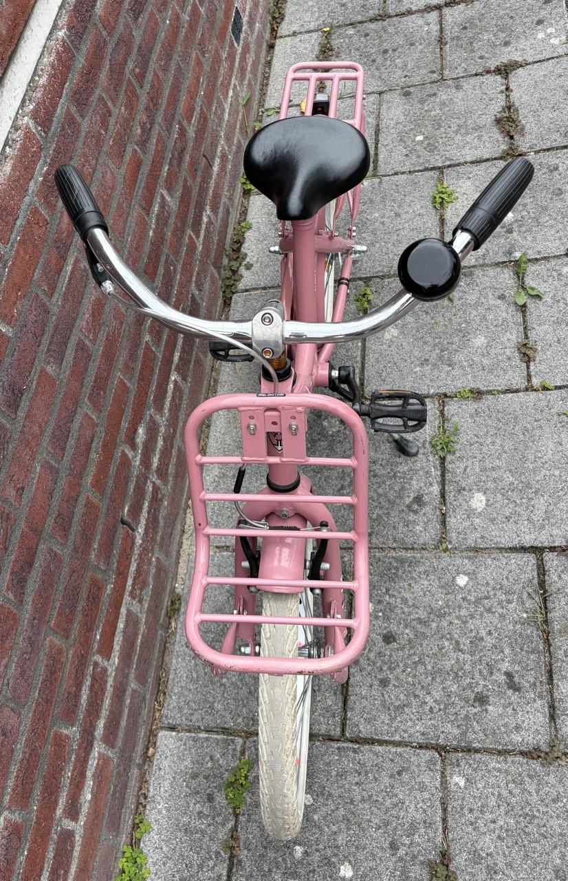 Roze meisjesfiets Alpina Clubb 16 inch