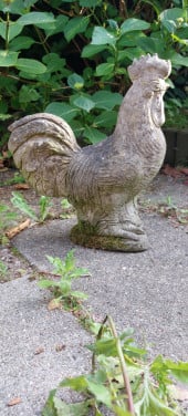 Tuin