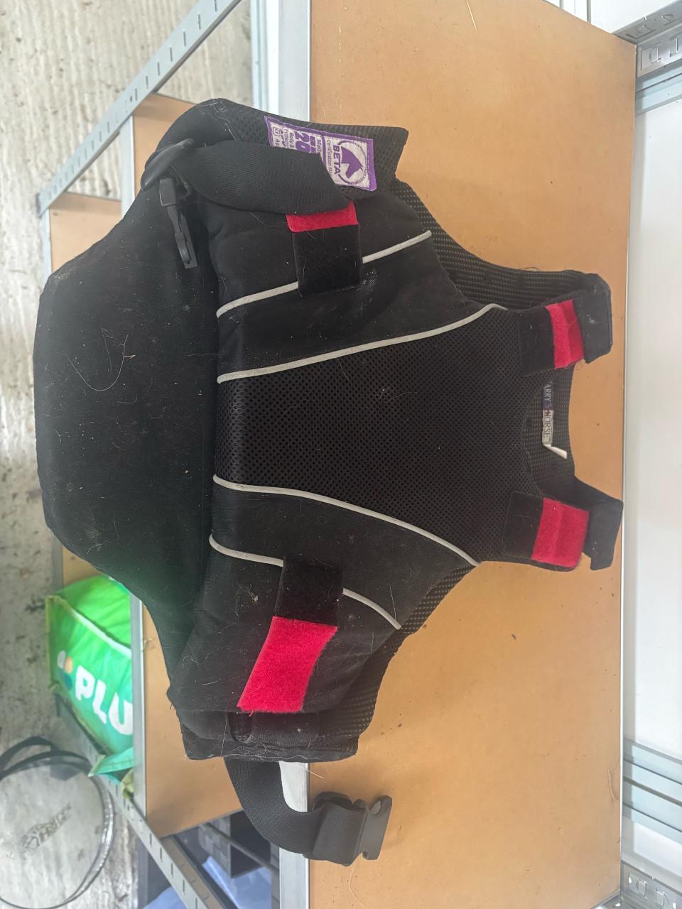 Body protector