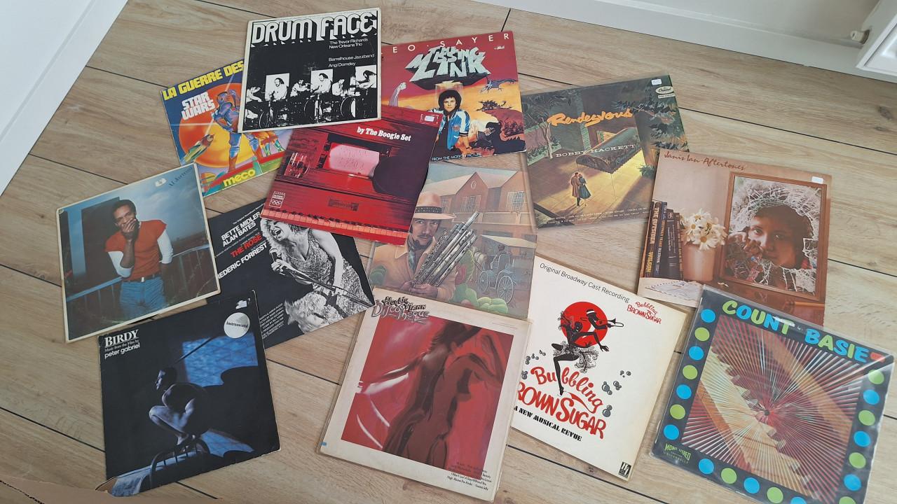 LP's (circa 120 stuks)