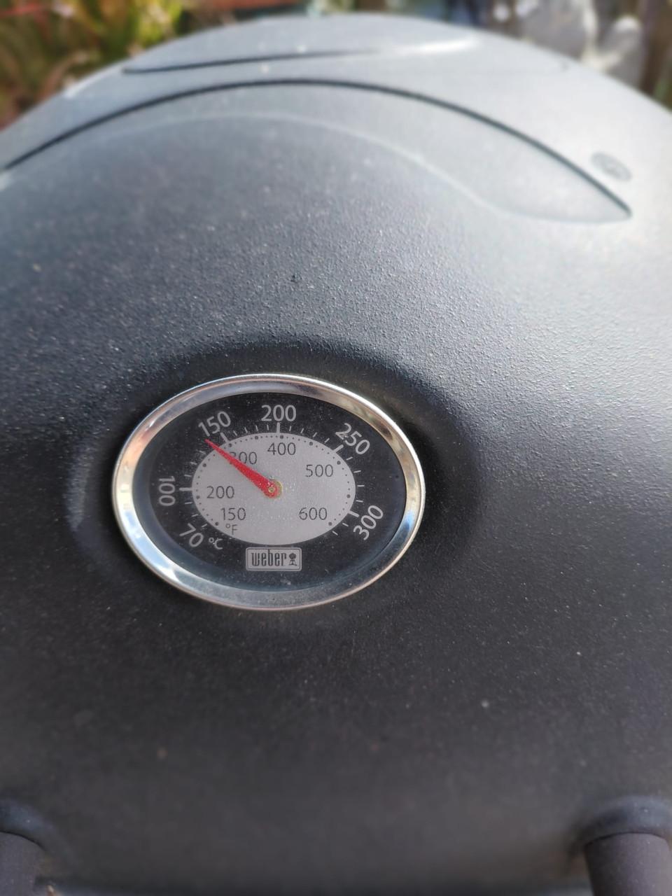 Weber gas BBQ