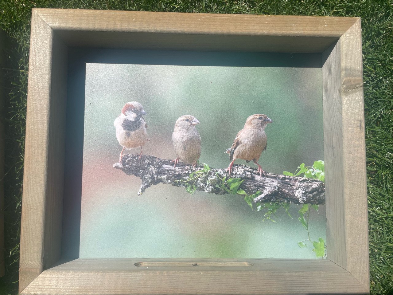 Vogelvoerlijsten