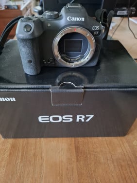 Canon R7 body