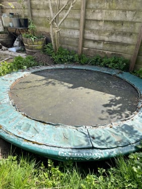 Trampoline diameter290