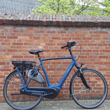 Gazelle Orange C7 HMB (H65).