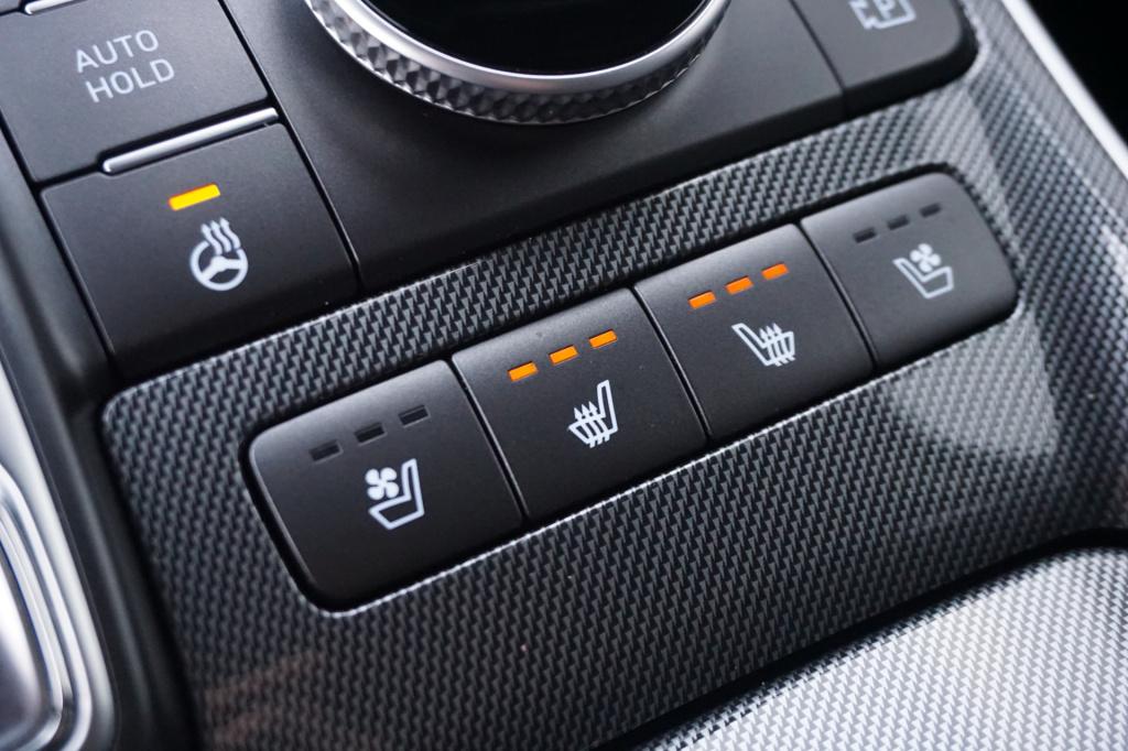 Hyundai Santa Fe 1.6 t-gdi hev premium 1e eigenaar - full option - climate 