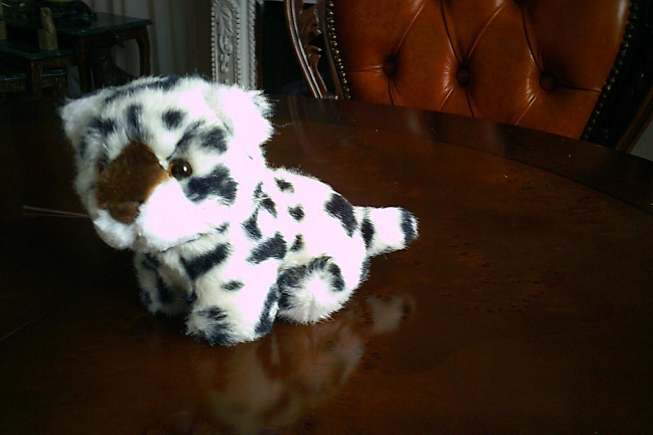 Vier NIEUWE stoere knuffels ...