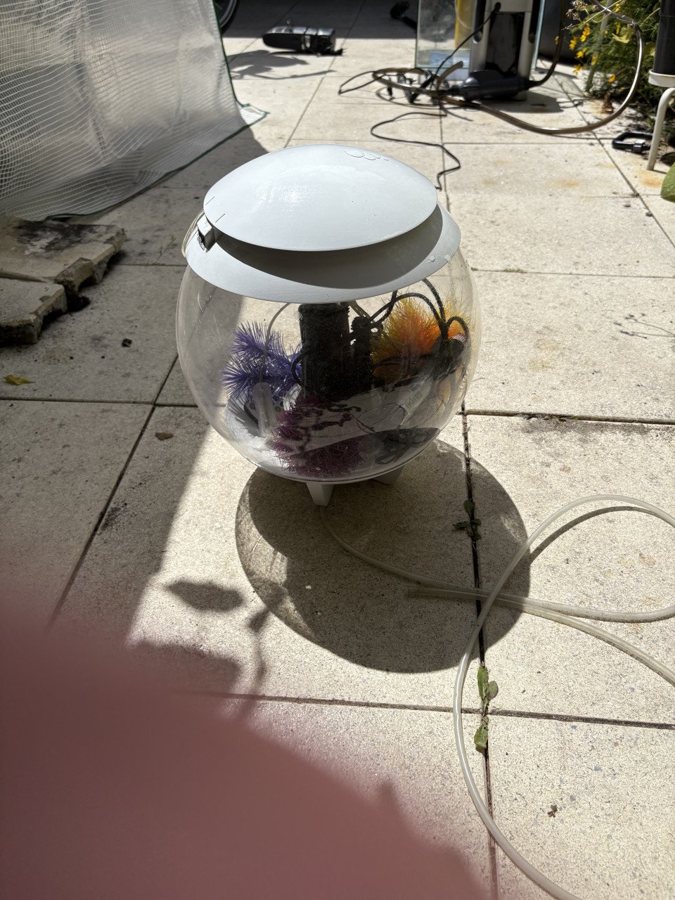 Biorb 15 liter