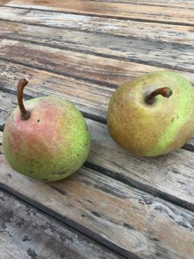 Heerlijke Stoofperen Saint Remy