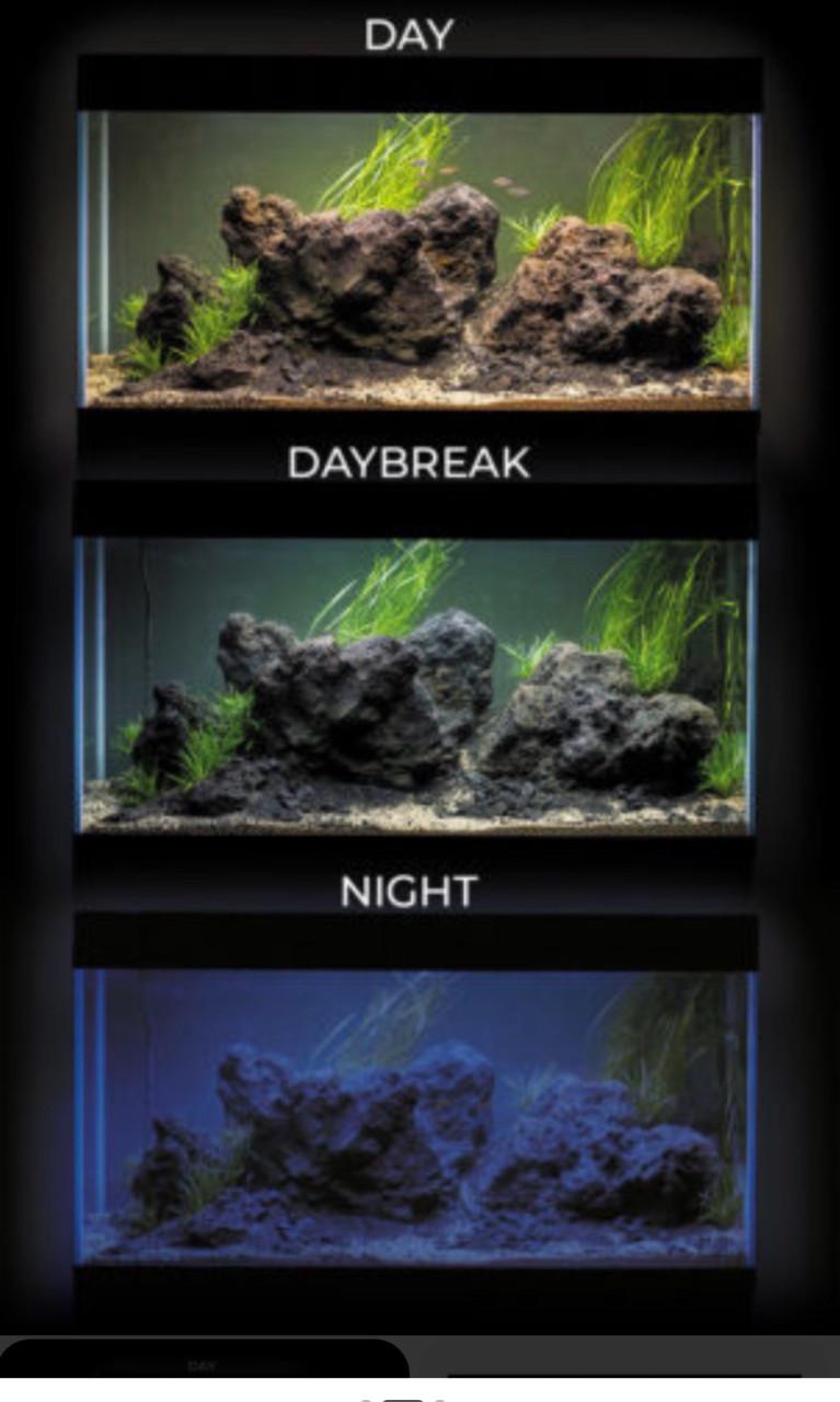 Aquarium