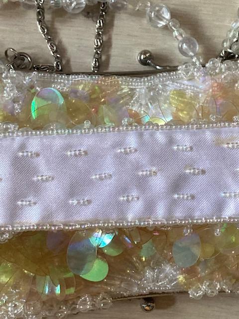 Bijzonder Soiree-tasje