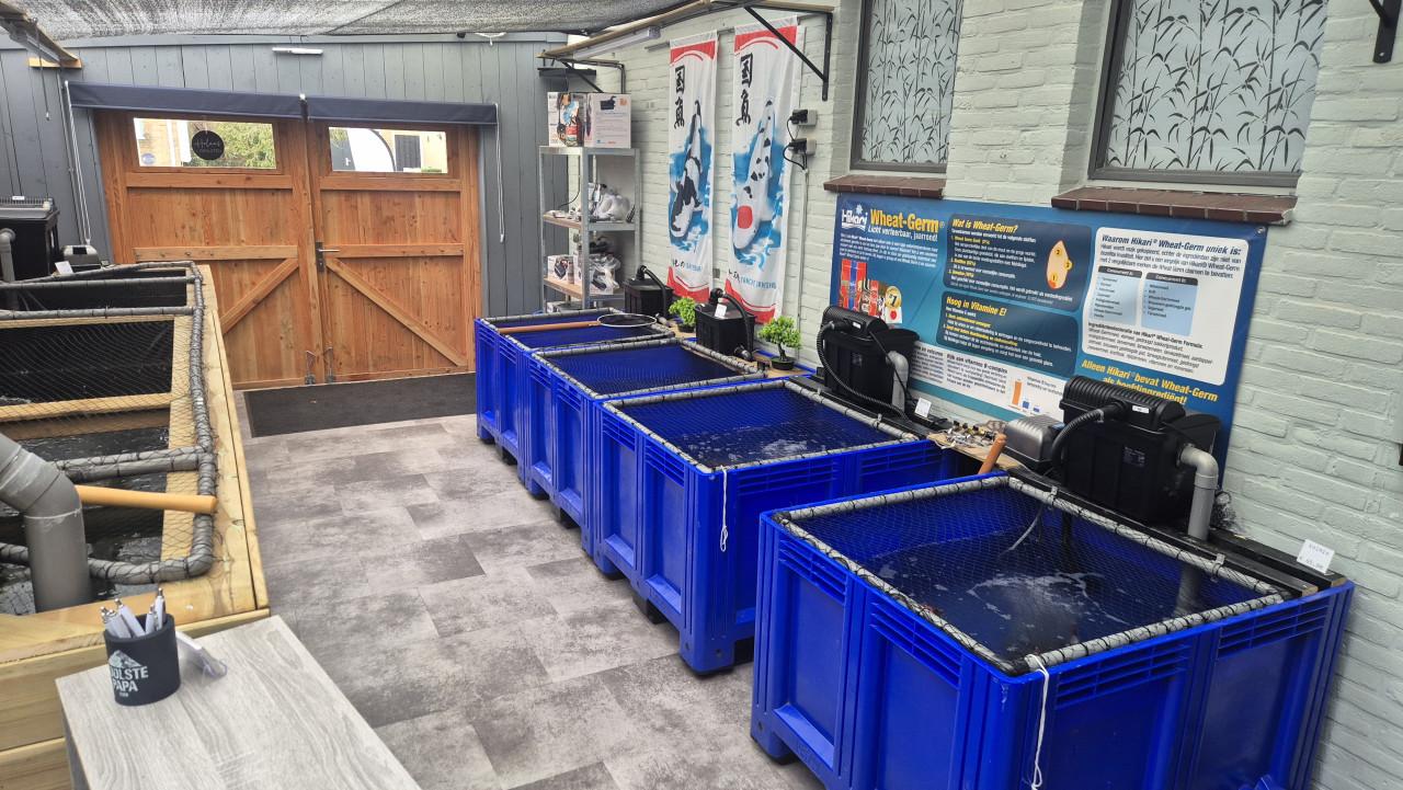 Diverse vijverspullen