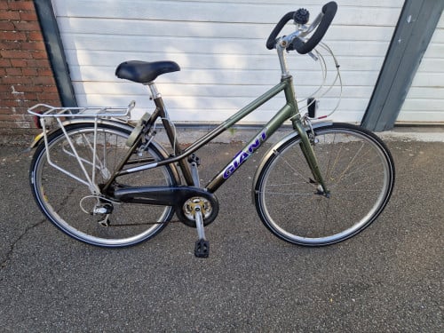 Fiets dames
