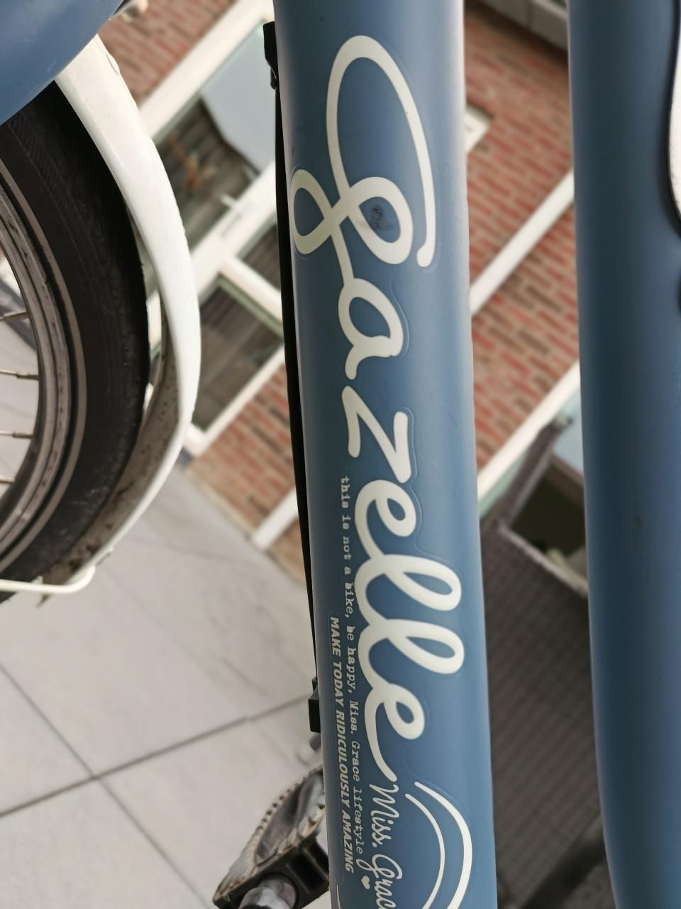 Te koop: Gazelle miss Grace 24 inch