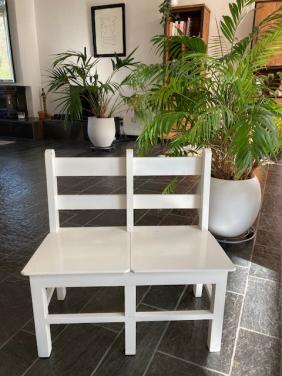 Tweeling kinderstoeltje