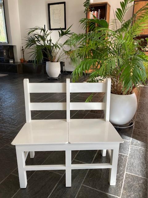 Tweeling kinderstoeltje