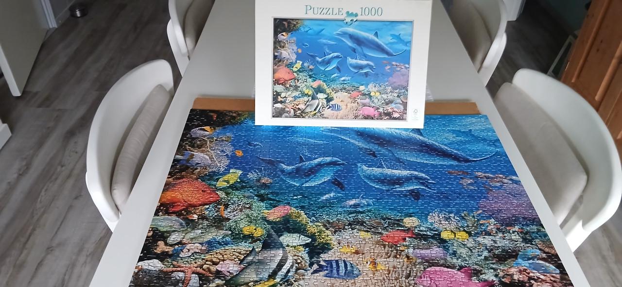 Puzzel 1000 stukjes