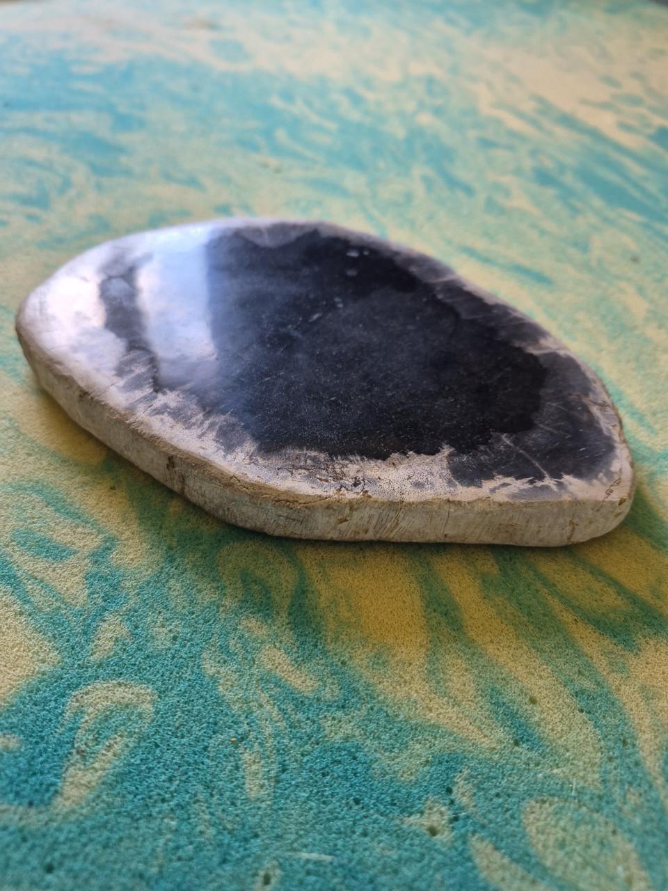 Zwanensmudgeveer en versteend hout