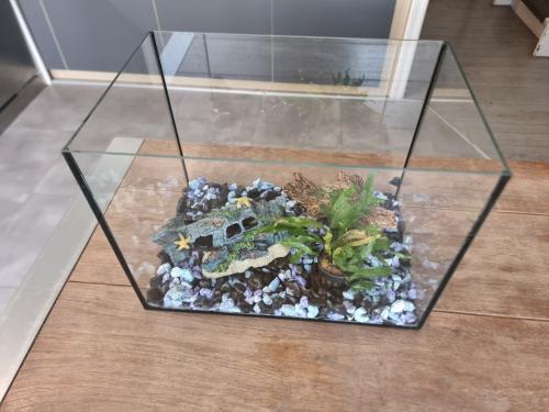 Aquarium