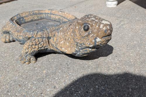 SCHILDPADJE