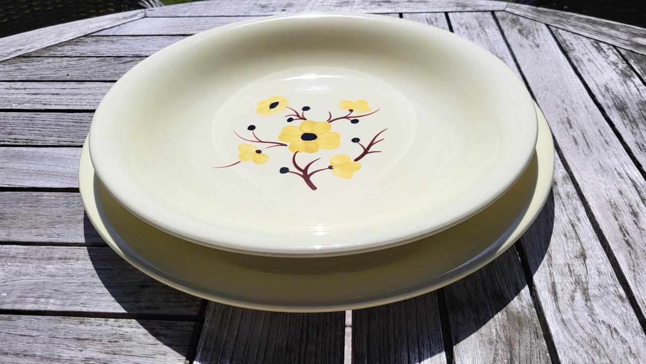 Set van 2 vintage Franse schalen Salins servies Catherine